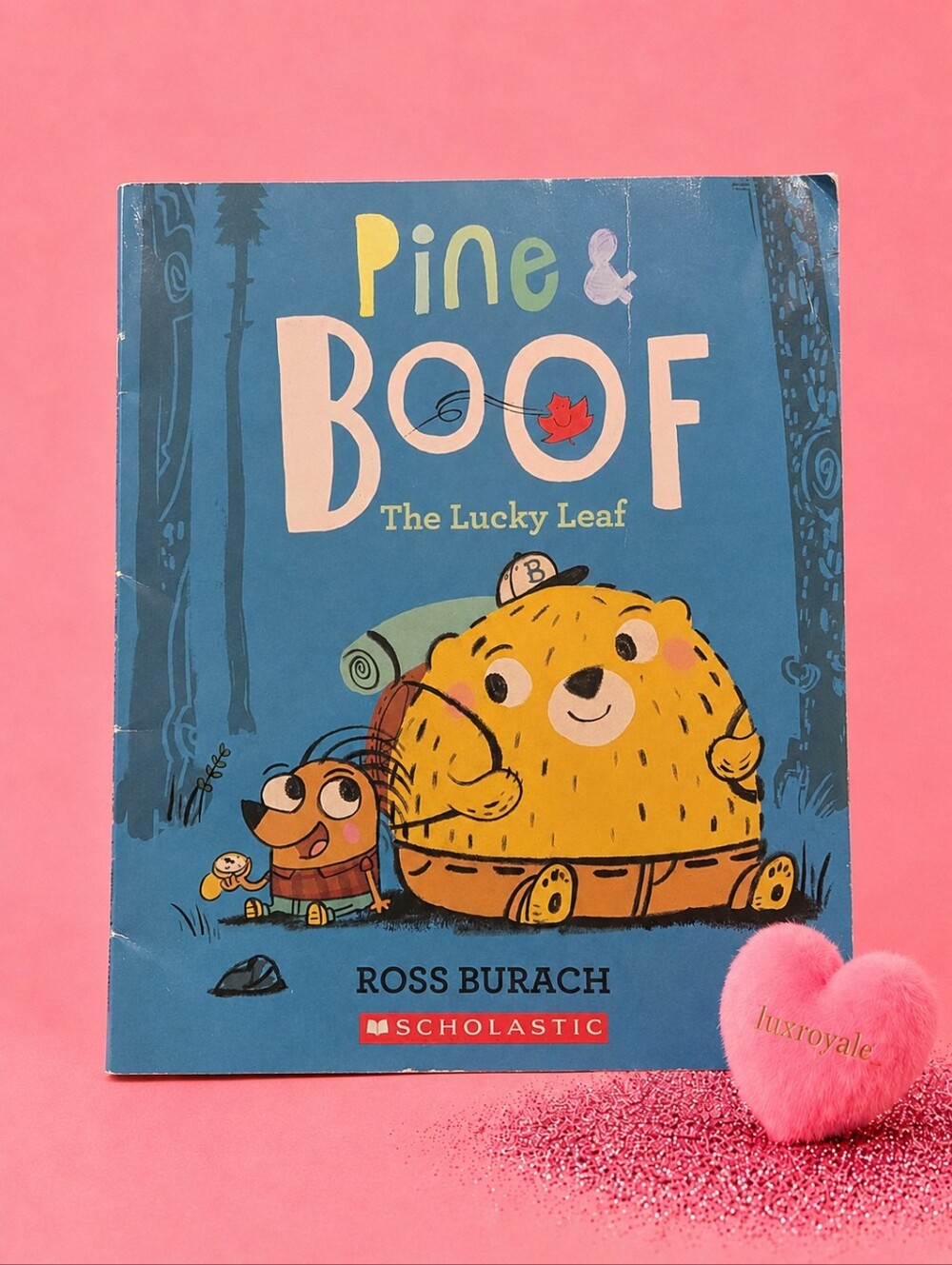 Pine & Boof The Lucky Leaf by Ross Burach Scholastic Children's Picture Book